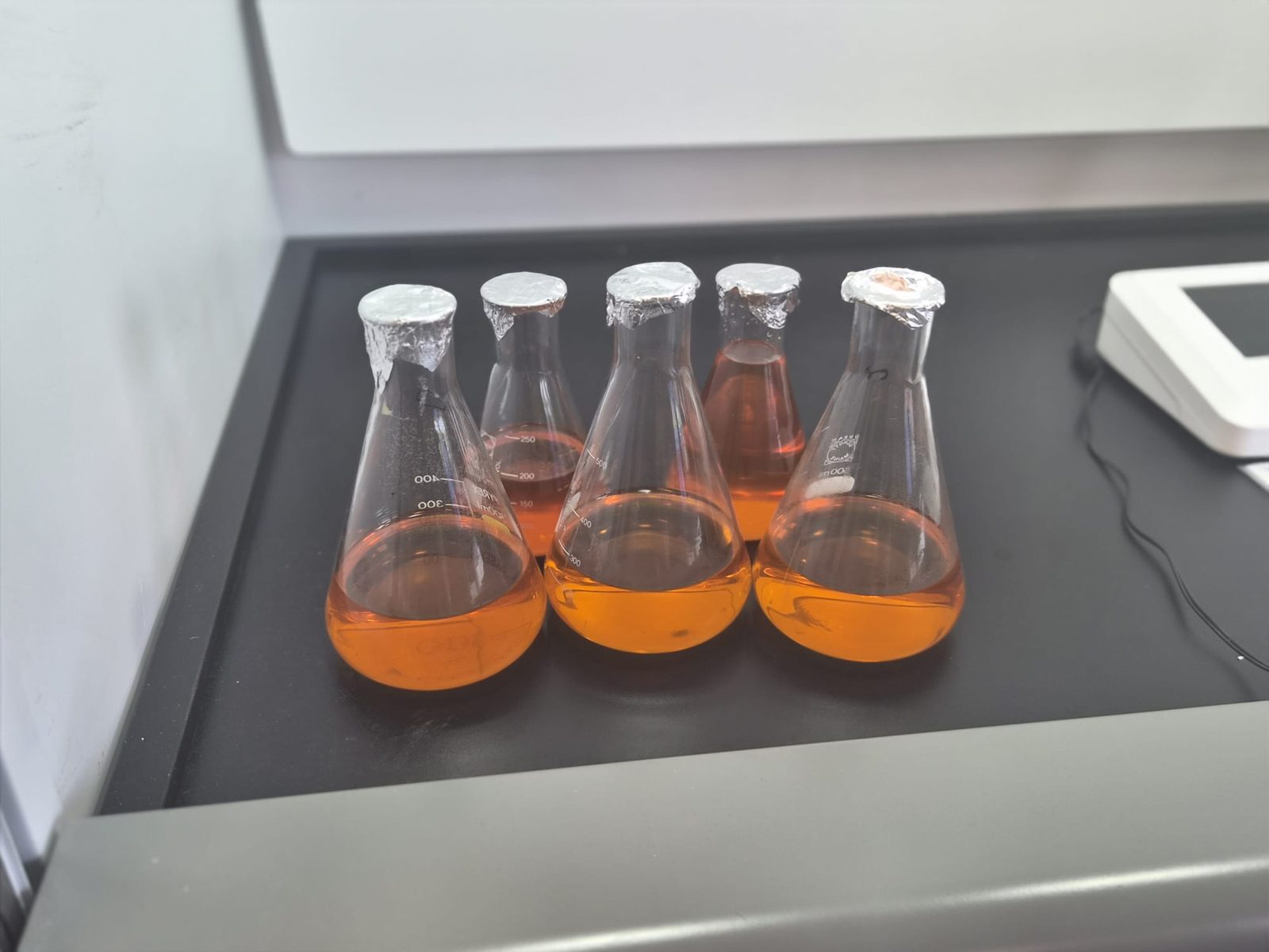 Prepared samples in conical flasks ready for analysis